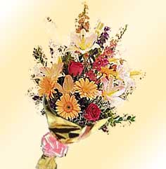 Envio y venta de flores ,rosas, plantas,arreglos florales ,regalos y desayunos a domicilio con delivery gratis en la Ciudad Autonoma de Buenos Aires y con costo de env�o en localidades del Gran Buenos Aires asi como delivery de flores y plantas a trav�s de florerias asociadas en todas las provincias de la Argentina, Buenos Aires, la Pampa, Tucuman, La Rioja, R�o Negro, Entre Rios, Corrientes, Misiones, Neuquen, Chubut, Tierra del Fuego, Santa Cruz, San Luis, Mendoza, Cordoba, Jujuy, Formosa, Santiago del Estero, Salta, Chaco, Catamarca ,San Juan, y ademas realizamos el delivery de flores ,coronas,palmas , plantas y regalos a todas las ciudades de Argentina, Mar del Plata, C�rdoba, Buenos Aires, con cargo en Santa Rosa, La Plata, Bella Vista, Neuquen, Pilar, Paran�, Posadas, Resistencia, Cipolleti y mas de 300 ciudades y localidades en todo el territorio de nuestro pa�s, asi como tambien tenemos la posibilidad de enviar flores a casi todo el mundo en cuestion de horas